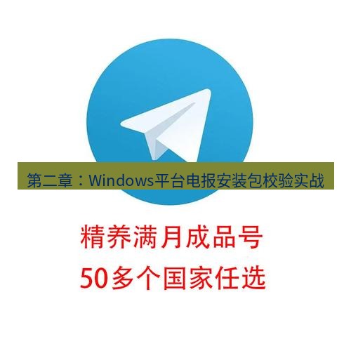 电报下载 第二章：Windows平台电报安装包校验实战