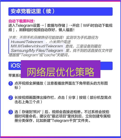 电报下载 网络层优化策略