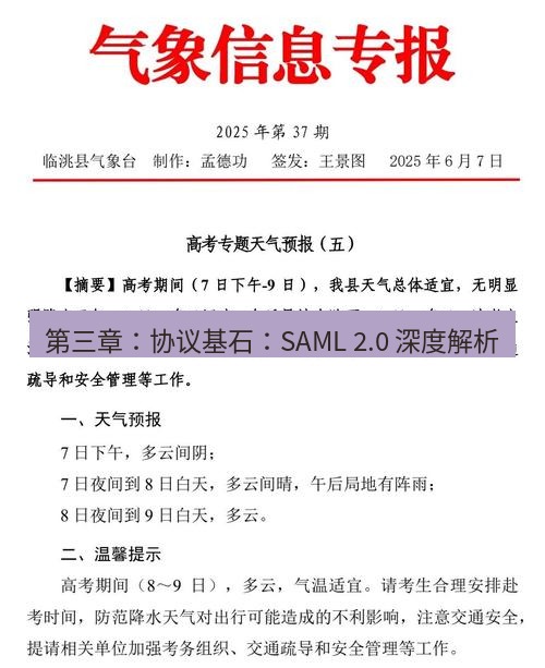 电报下载 第三章:协议基石:SAML 2.0 深度解析
