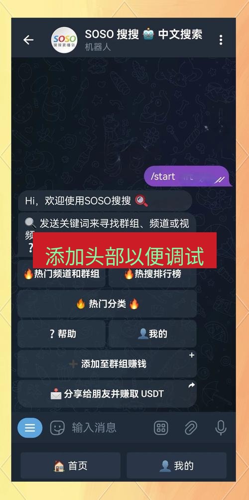 电报下载 添加头部以便调试