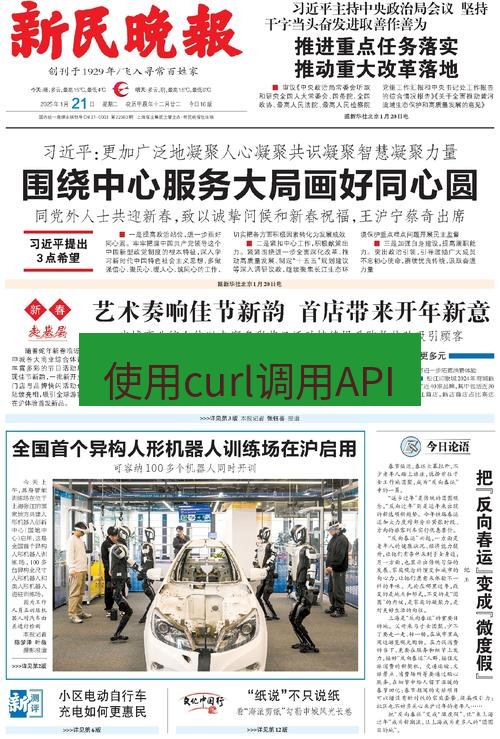 电报下载 使用curl调用API