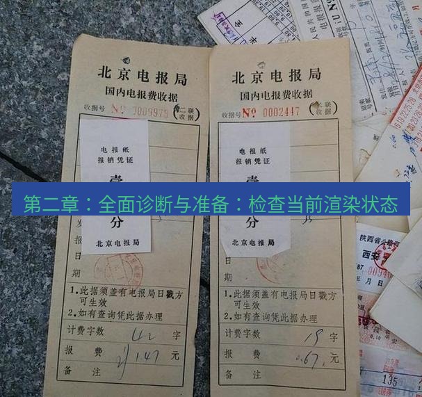 电报下载 第二章：全面诊断与准备：检查当前渲染状态