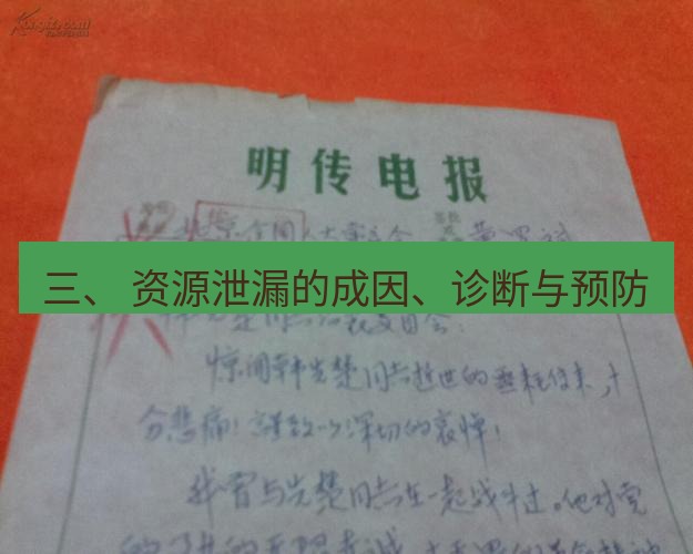 电报下载 三、 资源泄漏的成因、诊断与预防
