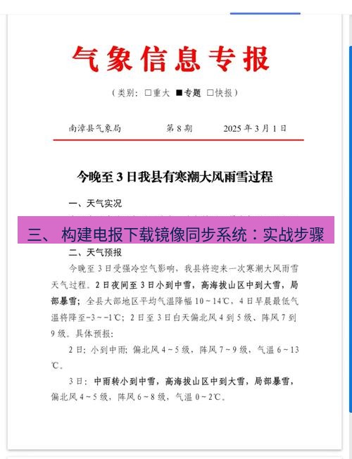 电报下载 三、 构建电报下载镜像同步系统：实战步骤